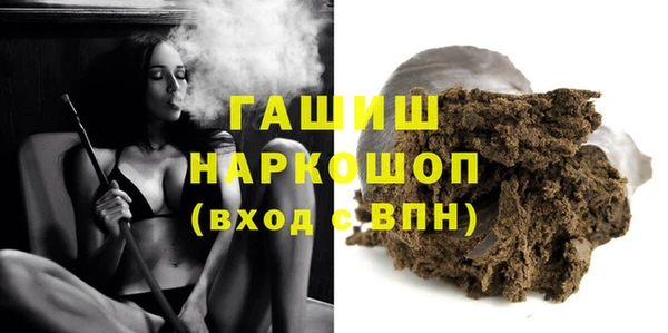 индика Алексин
