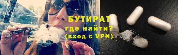 индика Алексин