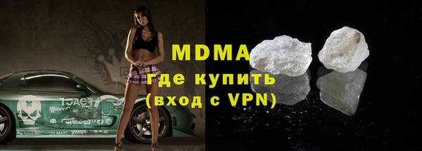 индика Алексин