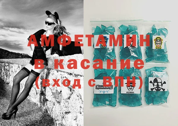 индика Алексин