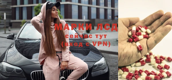 индика Алексин